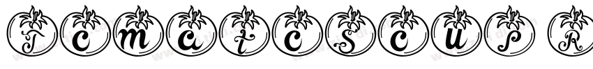 TomatoSoup Regular字体转换 TomatoSoup Regular字体转换